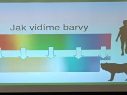11_kveten_ve_skolicce