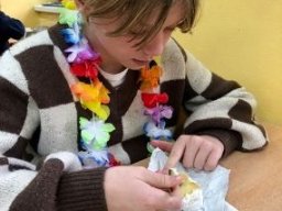 59_havajska_party