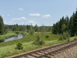 Lipno – místo, kde ticho zpívá a voda vypráví příběhy Šumavy