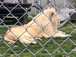 02_materinka_v_zoo