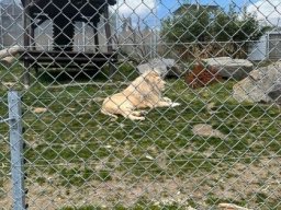 05_materinka_v_zoo
