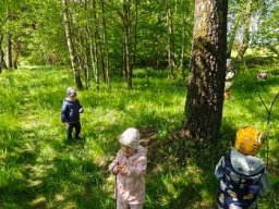 05_sipkovana