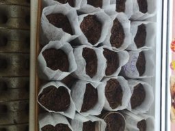 05_zahradni_terapie