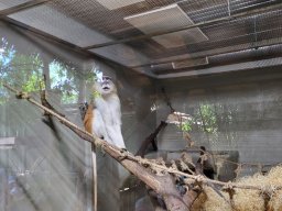 08___vylet_do_zoo_a_rozlouceni_s_druzinou