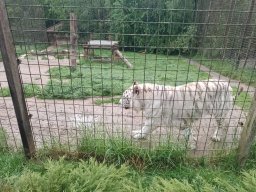15_vylet_29.5.2025