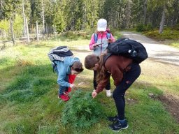 16_soutez_np_sumava