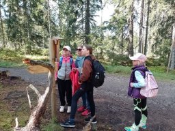 31_soutez_np_sumava