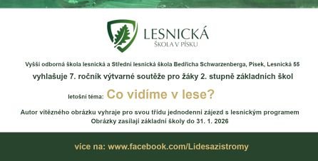 06_co_vidim_v_lese_67