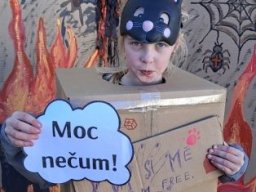05__halloweenska_party_v_sd
