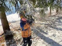 05_materinka_zamyka_les