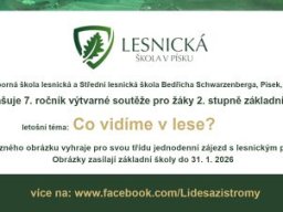 06_co_vidim_v_lese_67