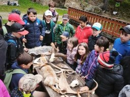 07_boubinsky_zamecek