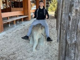 08__projekt_zoo_hluboka