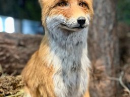08_prirodopisna_exkurze_7._rocnik