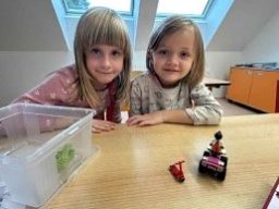 24___krouzek_lego